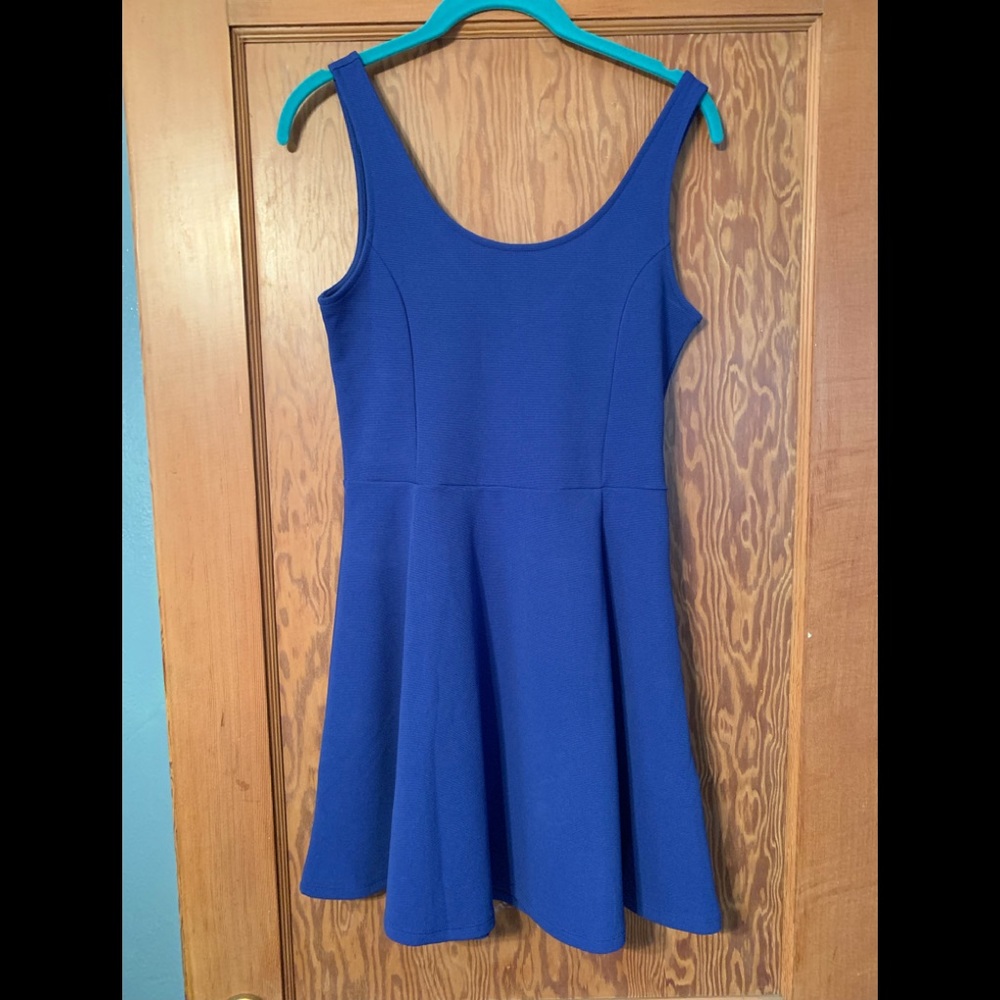 NWOT H&M Skater Dress